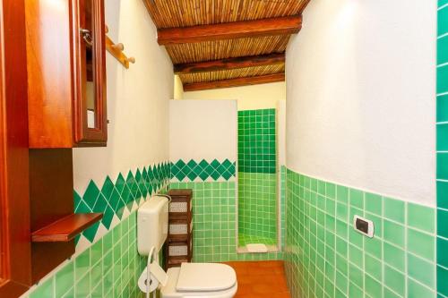 a green tiled bathroom with a toilet in it at B&B Pettirosso Garden in San Teodoro