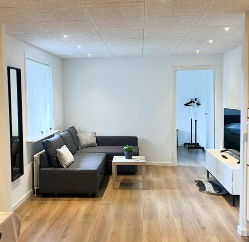 a living room with a couch and a television at Lovely Billund Apartment by KIRIJA in Billund