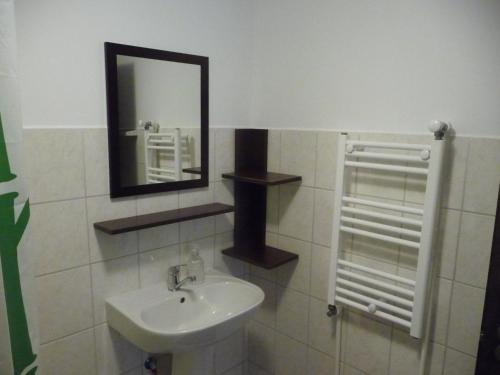 Koupelna v ubytování Casa Albac