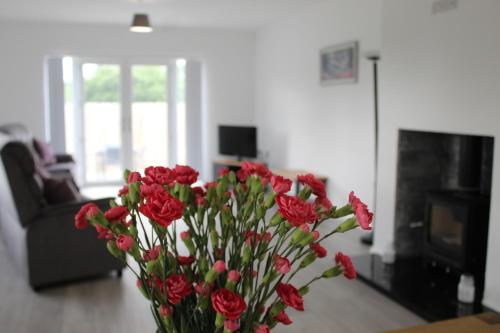 TV a/nebo společenská místnost v ubytování Riverview Cottages