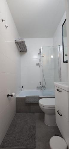 a white bathroom with a shower and a toilet at Studio Casa Brisa Del Mar in Middelkerke