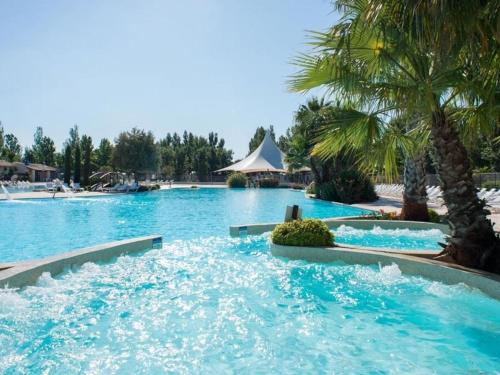 a large swimming pool with blue water and palm trees at La Carabasse-Vias "Te Mahana" in Vias