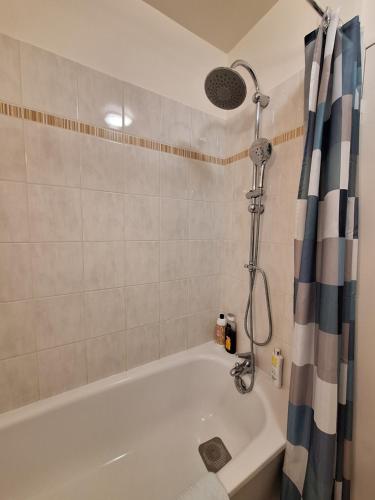 une salle de bain avec baignoire et douche dans l'établissement Studio ALPHA - 2min by train to Disneyland OR 20min walk - 5min walk to 