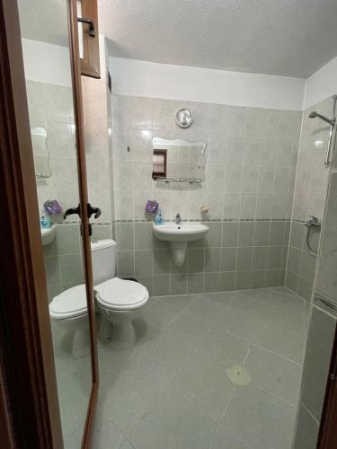 a bathroom with a toilet and a sink at Къща за гости ФЪН ШУЙ 88 in Dobrinishte