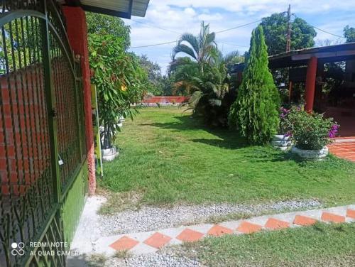 a yard with a fence and some plants at Casa de campo in Caguán