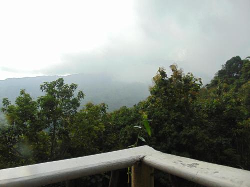 a view from the top of a mountain with trees at Dunarinka in Minca