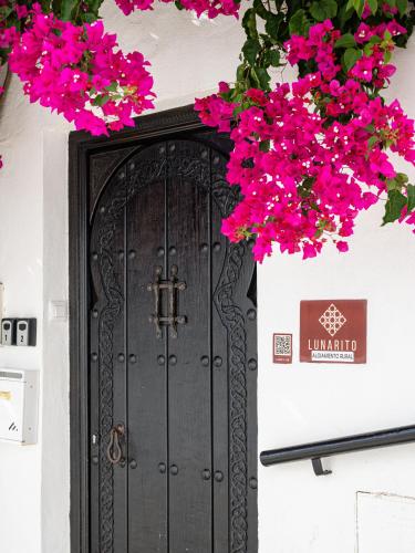 a black door with pink flowers in front of it at Casa Lunarito in Vejer de la Frontera