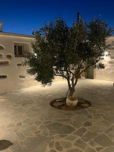 Φωτογραφία από το άλμπουμ του Tsigouri Suites σε Άνω Σαγκρί
