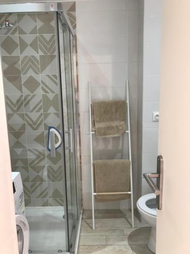 une salle de bain avec douche et toilettes dans l'établissement Appartement La Croix Valmer, Golfe de Saint Tropez, à La Croix-Valmer