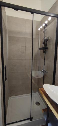 une douche avec une porte vitrée à côté d'un lavabo dans l'établissement HUBLOT Studio vue port, au Tréport