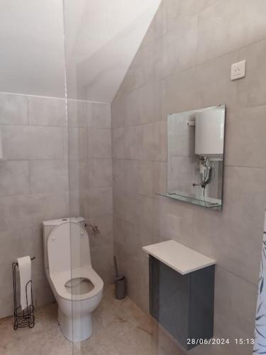 une salle de bain avec toilettes, lavabo et miroir dans l'établissement La Porte Verte, à Capendu