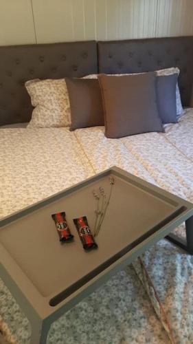 a coffee table with two cars on top of a bed at Kućica za odmor Srbac in Srbac