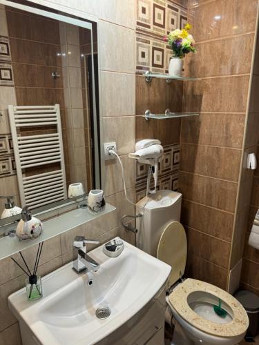 Ένα μπάνιο στο Oana Guest House