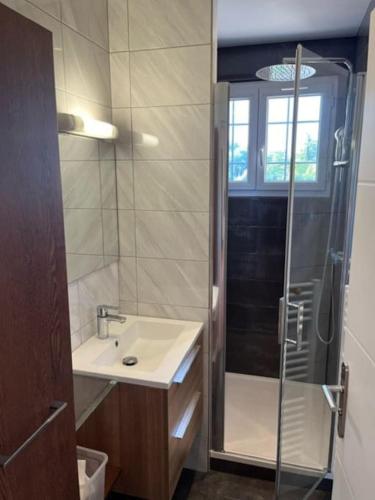 une salle de bain avec un lavabo et une douche dans l'établissement Appartement T3 proche de paris super pour les JO, à Herblay