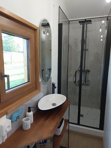 une salle de bain avec un lavabo et une douche dans l'établissement Le chalet à la campagne !, à Parcé-sur-Sarthe