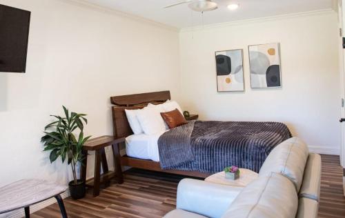 una sala de estar con una cama y un sofá en Quaint studio in Hill Country, en Fredericksburg