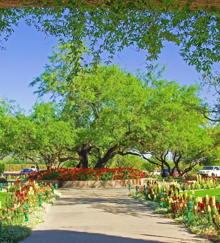 a park with red and white flowers and trees at Ventana Canyon Club and Lodge in Tucson