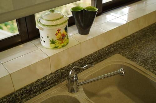 encimera de cocina con fregadero y fregadero en Villa Flaviae, en Chaves