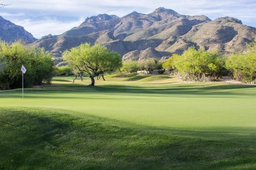 a green golf course with mountains in the background at Ventana Canyon Club and Lodge in Tucson