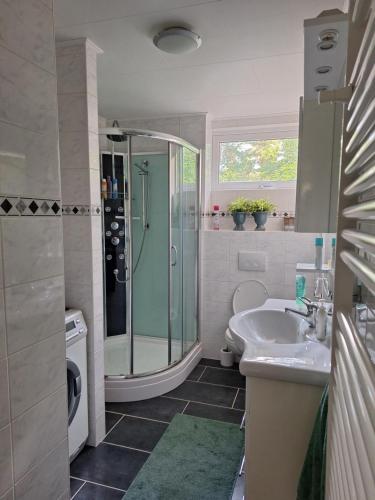 a bathroom with a shower and a sink at Luxe 5 pers chalet natuurlijk gelegen in IJhorst