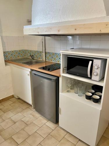 une cuisine avec un évier et un micro-ondes dans l'établissement appartement chaleureux ecuson, à Montpellier