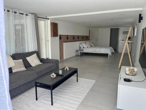 un salon avec un canapé et une table basse dans l'établissement Appartement en RDJ de maison, à Savigny-sur-Orge