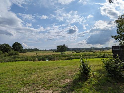 a field of grass with a blue sky and clouds at Osada Karszewo, sauna bania, ryby in Karszewo