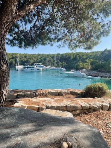 a view of a harbor with boats in the water at Luxury Villa Kate - in Lucice Bay with turquoise sea, Amazing Seaviews, and Heated Pool in Milna