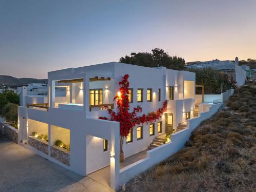 Villa Sol Cielo Naousa Paros