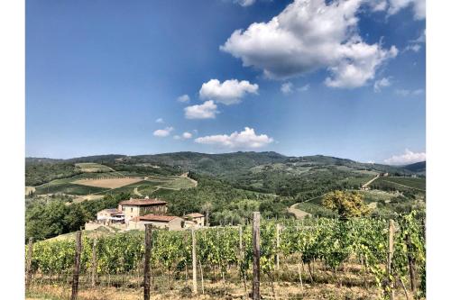 a view of a vineyard and a house on a hill at Family Friendly Villa Giulia with pool - Happy Rentals in Lucignano