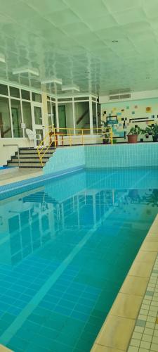 Πισίνα στο ή κοντά στο Ferienappartement in Black Forest