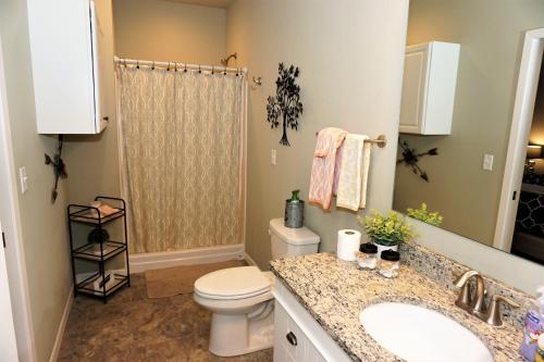 a bathroom with a toilet and a sink and a shower at Cozy 3br Downtown Bakery & Shops! in La Crosse
