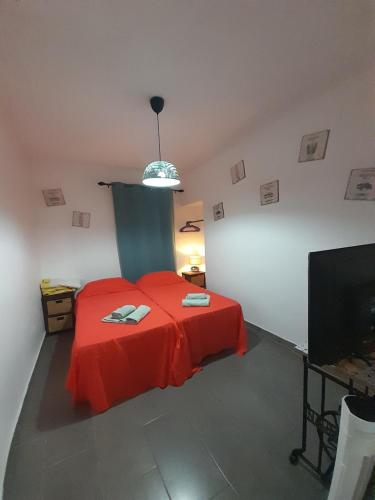 Mexico one bedroom apartment with portable AC, patio and garden