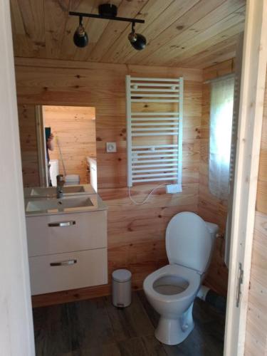 une salle de bain avec des toilettes blanches et un lavabo dans l'établissement Chalet au calme, à Coullons