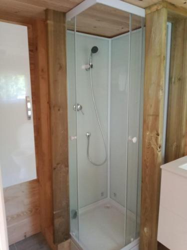 une douche avec une porte vitrée dans une salle de bain dans l'établissement Chalet au calme, à Coullons