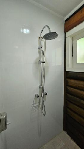 a shower in a bathroom with a shower head at Aldeia Flor de Liz - Pedra Azul in Pedra Azul
