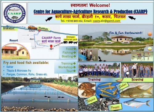 Foto sihtkohas Jhawāni asuva majutusasutuse Fish O Farm Guest House galeriist