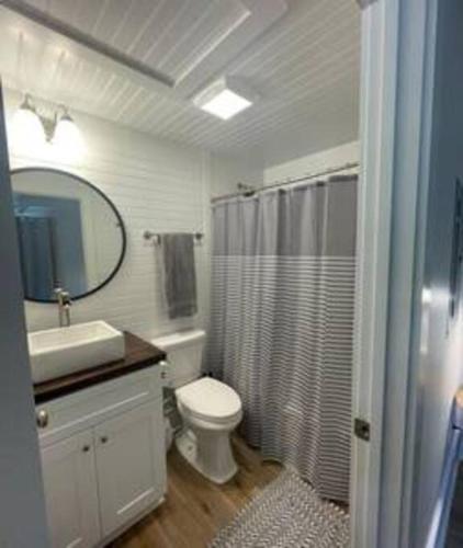 a bathroom with a toilet and a sink and a mirror at Updated, Fenced, Pet Friendly Downtown Cottage in Southern Pines