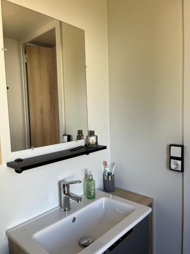 une salle de bain avec un lavabo et un miroir dans l'établissement Bungalow cosy à Onzain avec piscine partagée, à Onzain