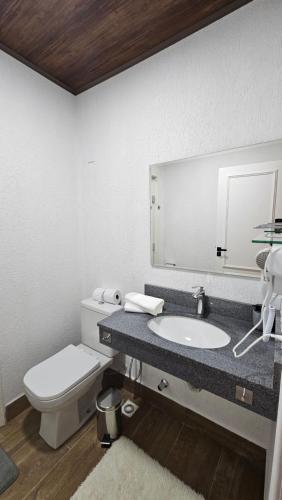 a bathroom with a toilet and a sink and a mirror at Aldeia Flor de Liz - Pedra Azul in Pedra Azul