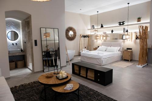 Hayes suite syros