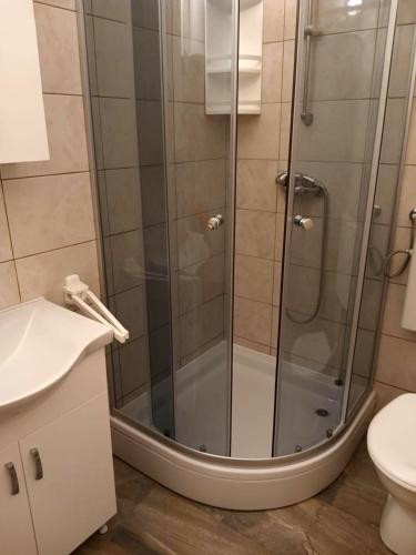 a shower with a glass door in a bathroom at Apartments by the sea Brna, Korcula - 560 in Smokvica