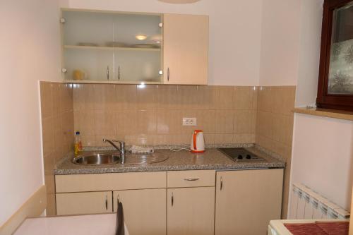 a small kitchen with a sink and a mirror at Apartments with parking space Senj - 15376 in Senj