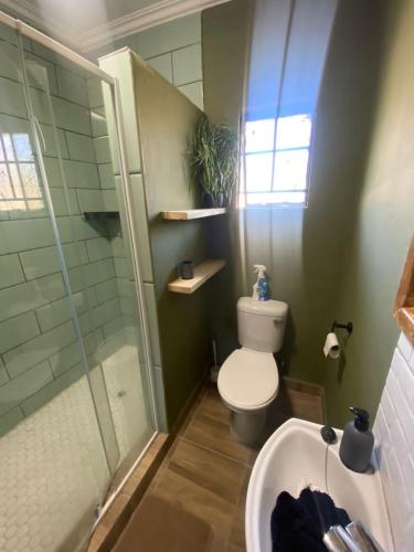 a bathroom with a toilet and a shower and a sink at Kanana Villas in Maun