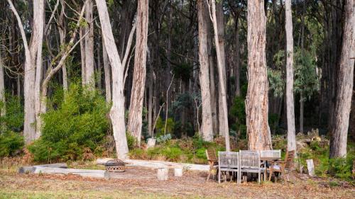 a table and chairs in front of a forest of trees at The Daylesford Bush Retreat in Glenlyon