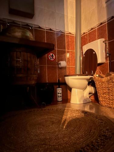 a bathroom with a toilet and a basket on the floor at OLD SHEPHERD Guest House in Râșca