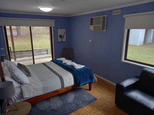 a blue bedroom with a bed and a window at Homefield Homestead Halls Gap in Halls Gap
