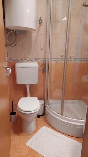 a bathroom with a toilet and a shower at Studio apartman Dolin in Rab