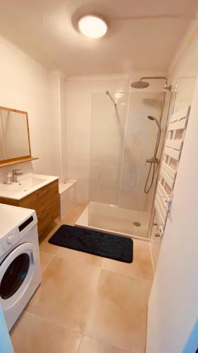 une salle de bain avec douche et machine à laver dans l'établissement Joli 3pièces refait à neuf et très bien situé, à Cannes