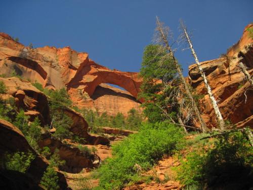 a view of a canyon with rocks and trees at Holiday Inn La Verkin - Zion Park by IHG in La Verkin